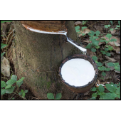 ISO 2004:2010 Natural rubber latex concentrate – Specifications